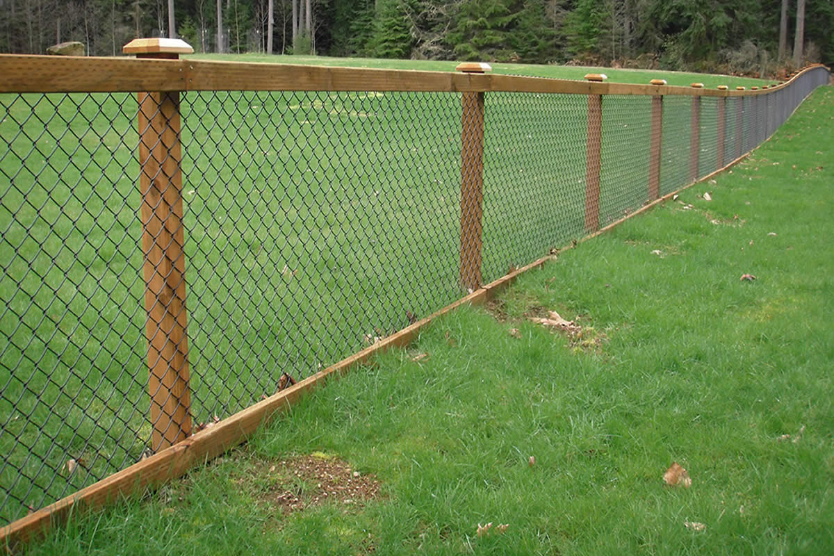 Best Affordable Fencing Options