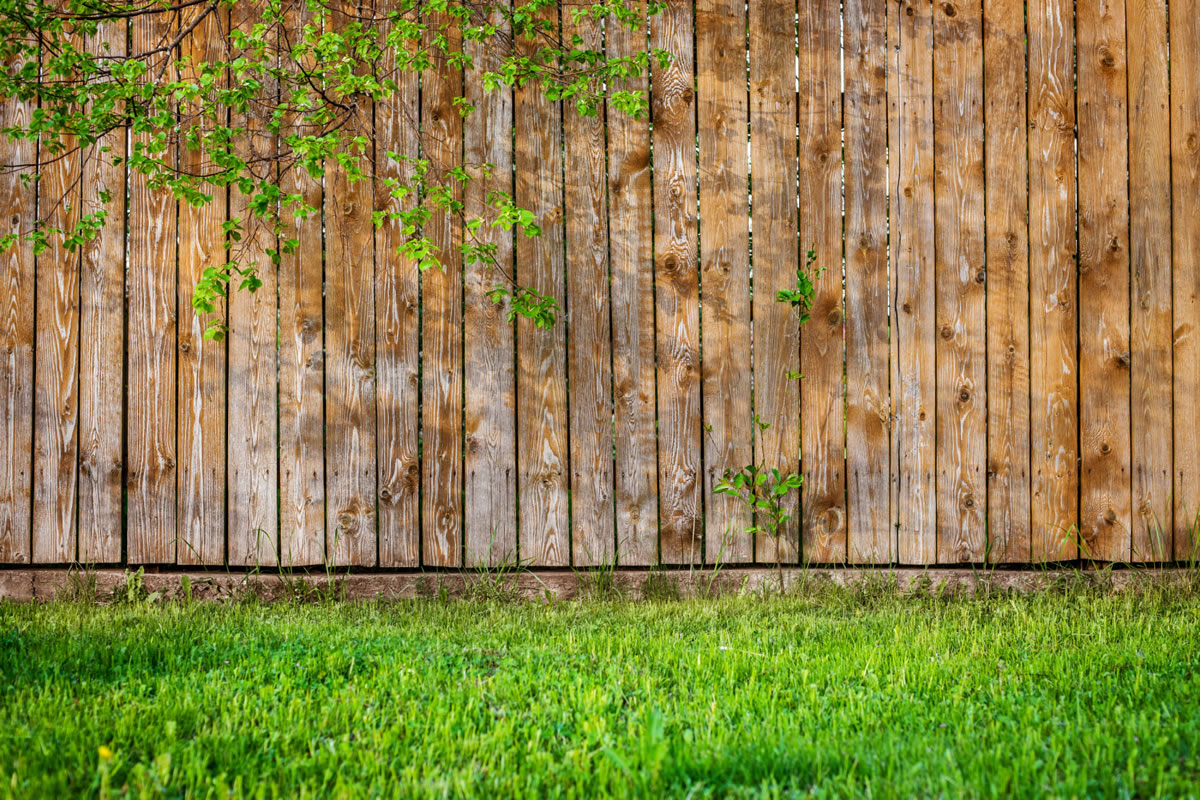 Five Steps to Care for Your Wooden Property Fence