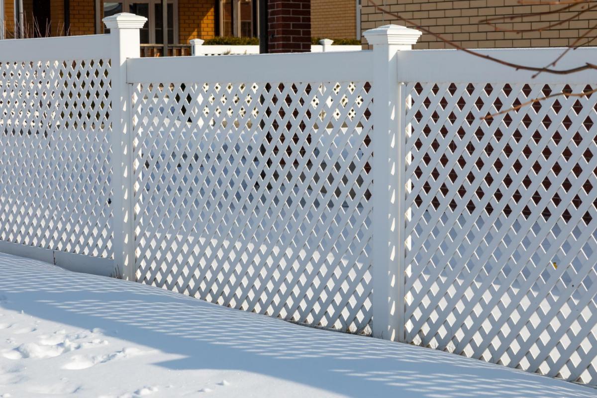 The Most Suitable Fence Alternative for Pet Owners