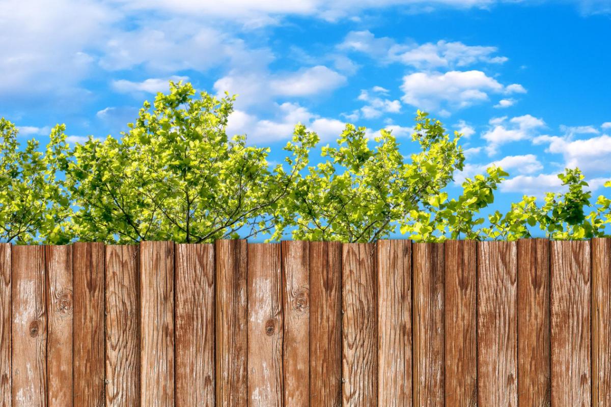 What Type of Wood Fence Fits Your Needs the Best?