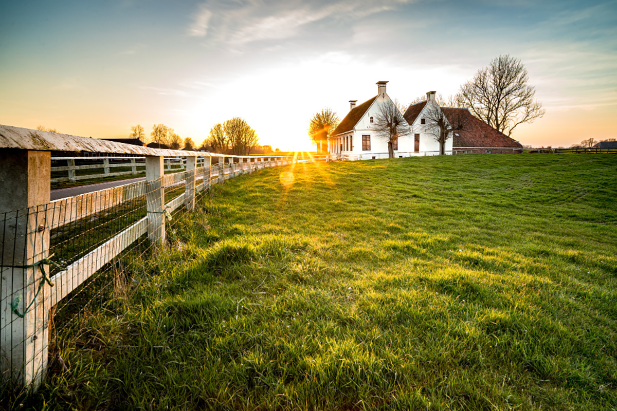 Is it Wise to Place Your Fence on Your Property Line?