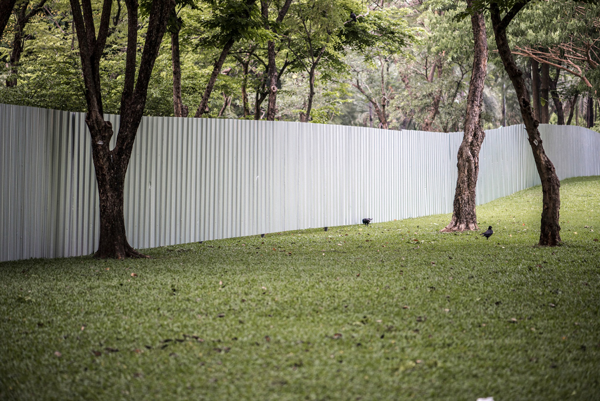 What is the Best Privacy Fence Material for Your Backyard?