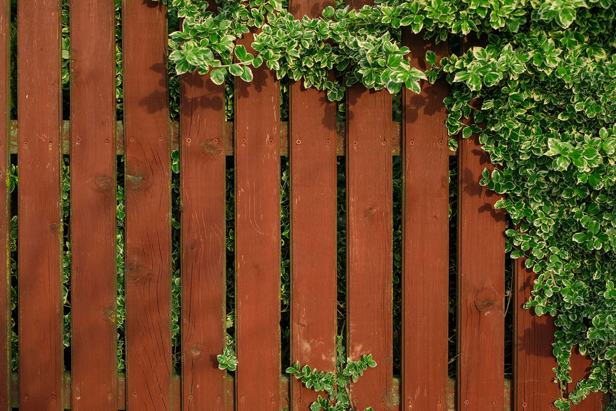 Creative Ways to Decorate Your New Fence