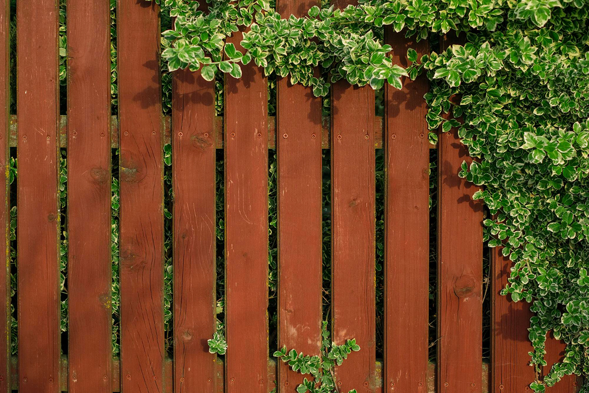 Creative Ways to Decorate Your New Fence