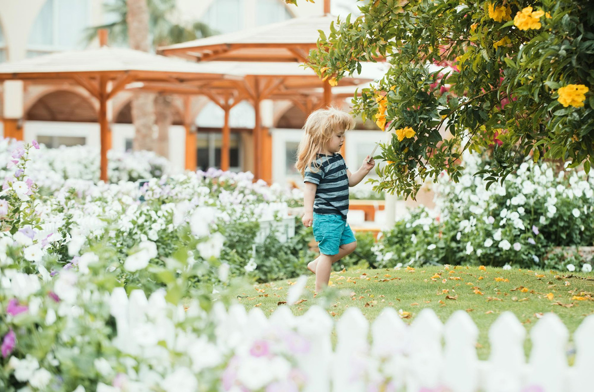 Add Color and Life to Your Fenced Backyard with DIY Garden Ideas