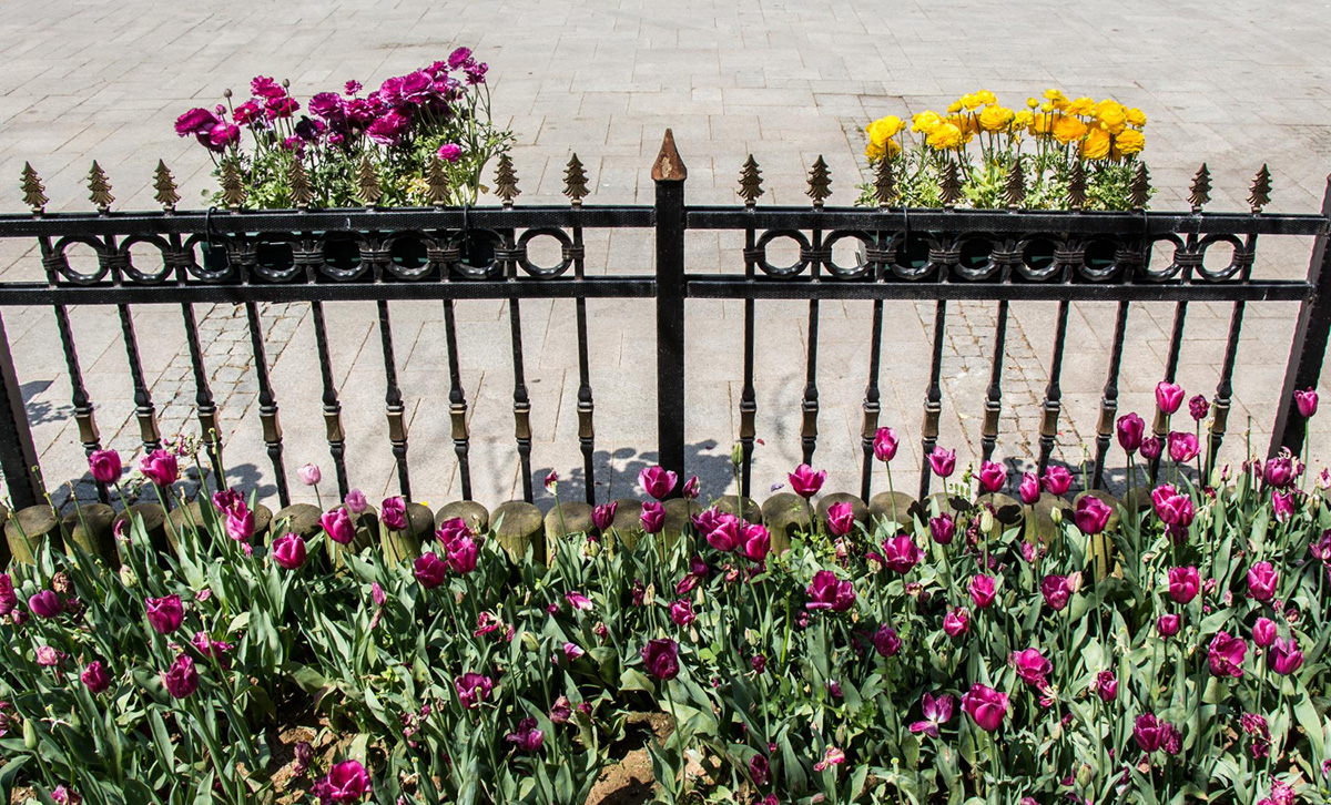 How to Build a Flower Bed Against a Fence