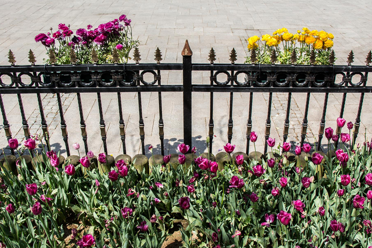 Ways to Incorporate Wrought Iron Fencing into Your Garden