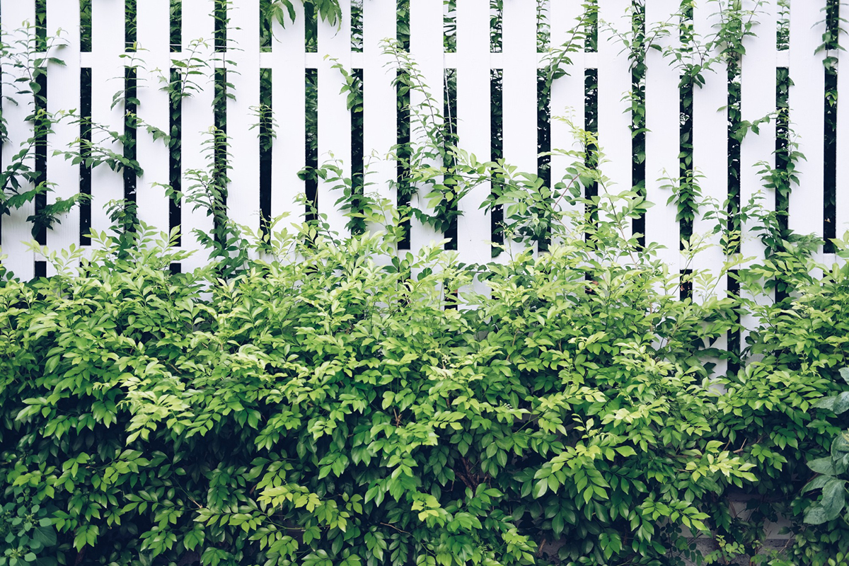 Keep Your Garden Safe With These Fences