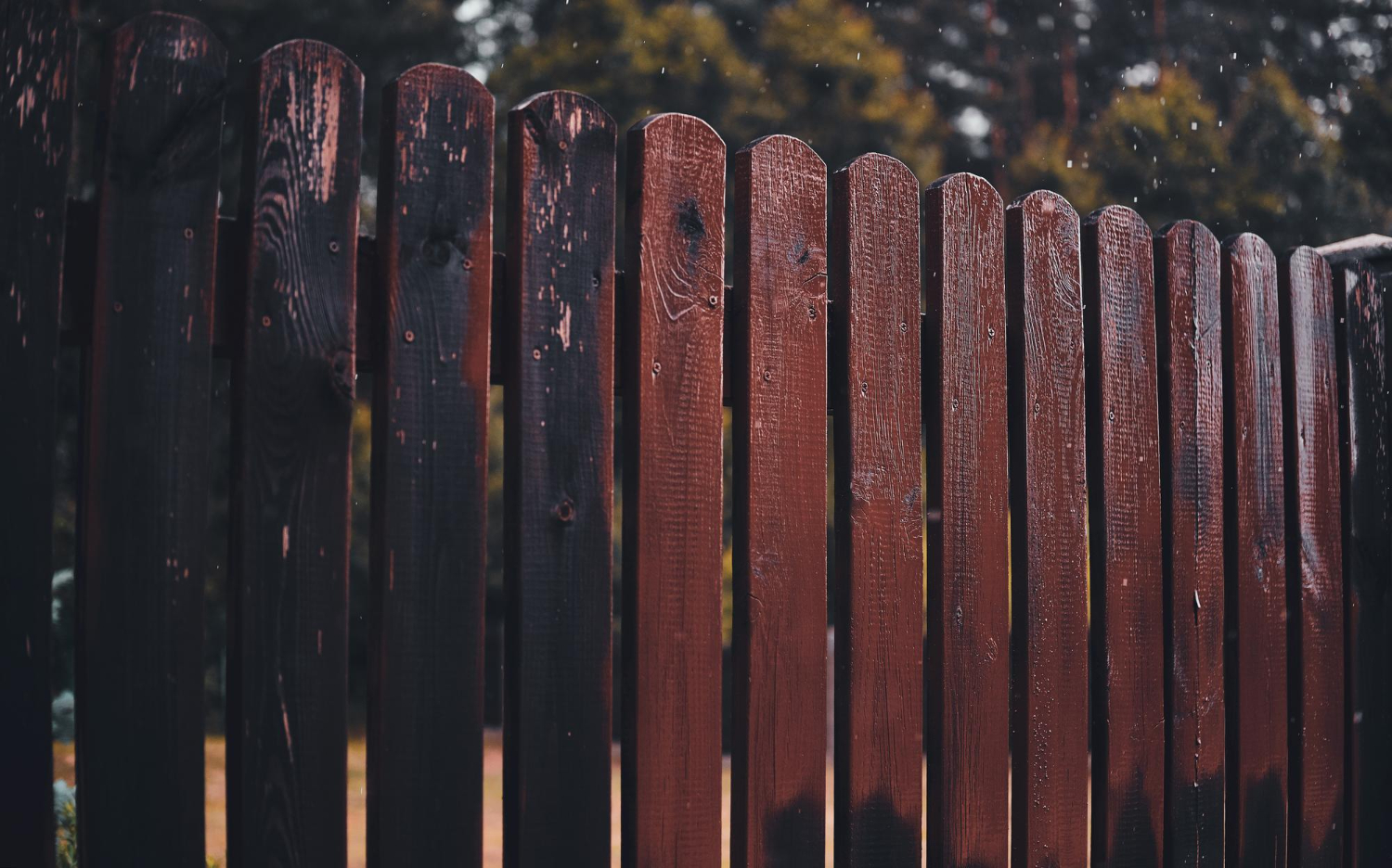 Protect Your Fencing: Weather That Could Cause Serious Damage