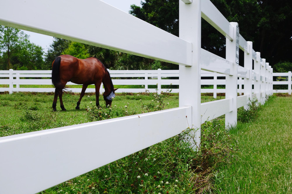 Maximizing Your Property's Charm and Security with 3 Rail Vinyl Fence
