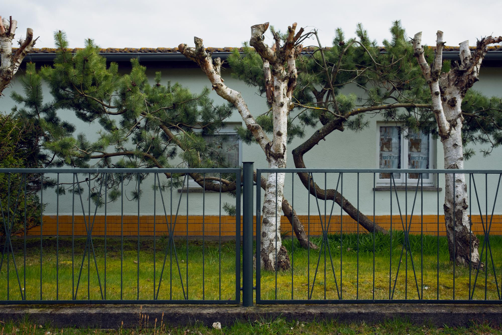 Neighbor-Friendly Fence Advice for Homeowners