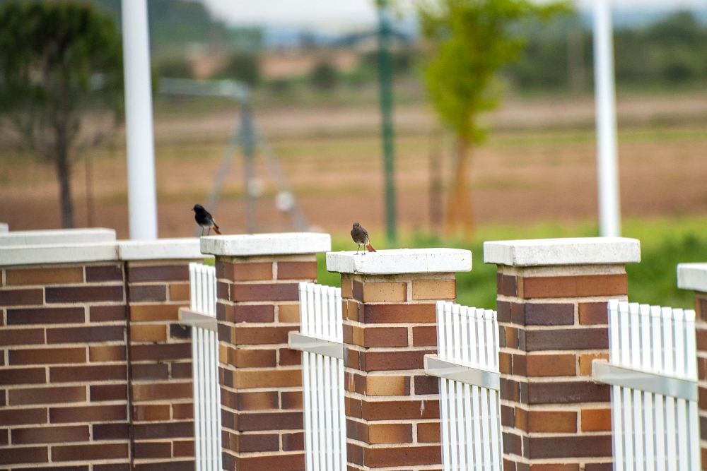 The Importance of Concrete Stability in Fence Construction