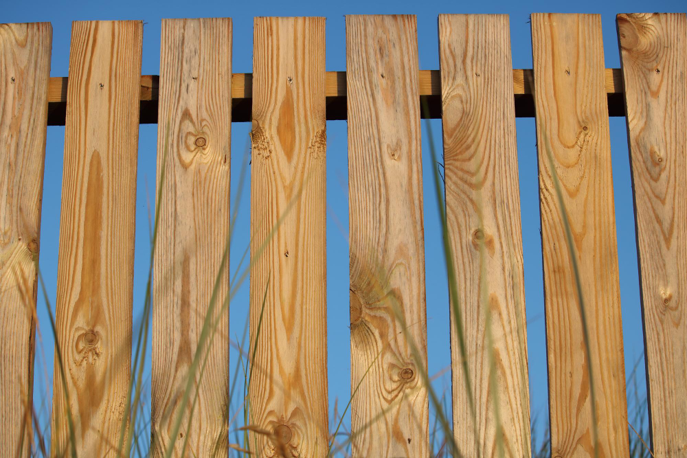 Wooden Fence Maintenance: Essential Tips to Protect Your Investment