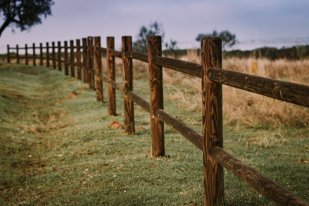 Everything you need to know about Ranch & Paddock Fence Installation