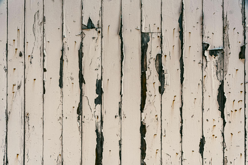 Why Your Fence is Rotting (And How to Stop It)