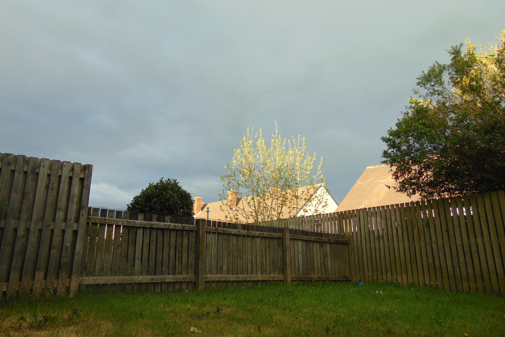 Good Fences Make Good Neighbors: A Guide to Fence Etiquette