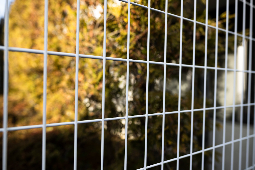 Why You Should Hire a Fence Company