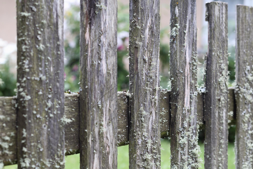 The Top Causes of Fence Rot & How to Prevent It