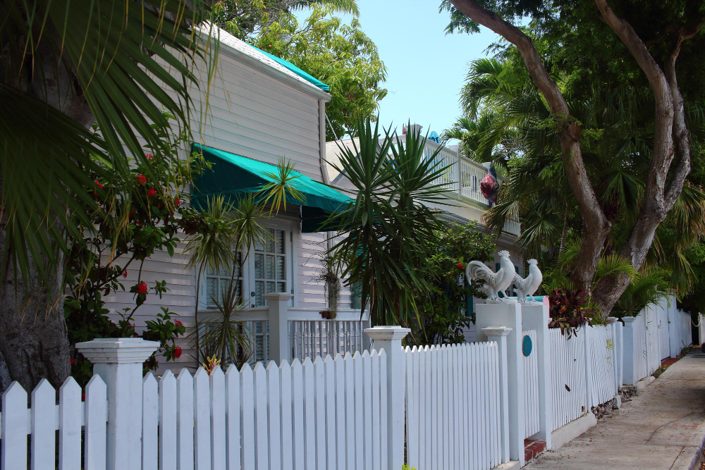 Why Have a Fence in Florida?