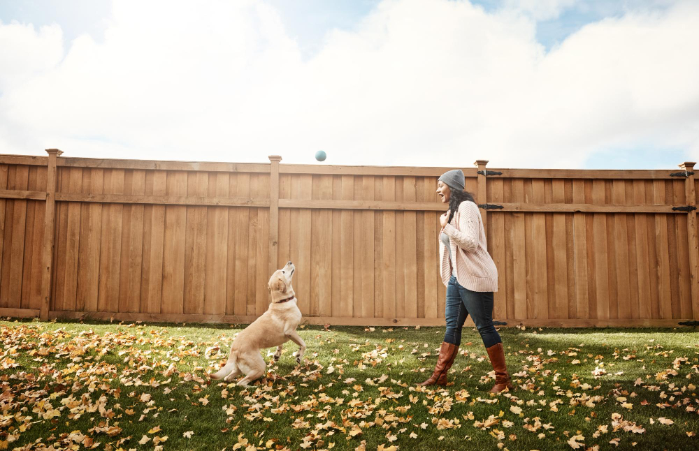 Keep Your Pet Safe With a Fence From Byers Fence