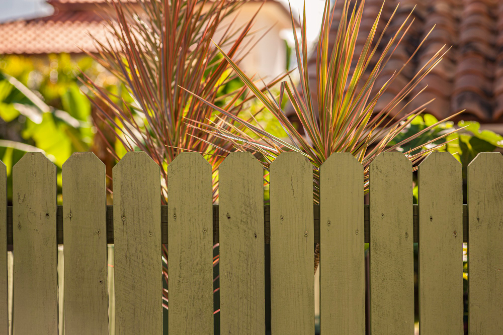 Transform Your Yard: Creative Ways to Personalize Your Wood Fence