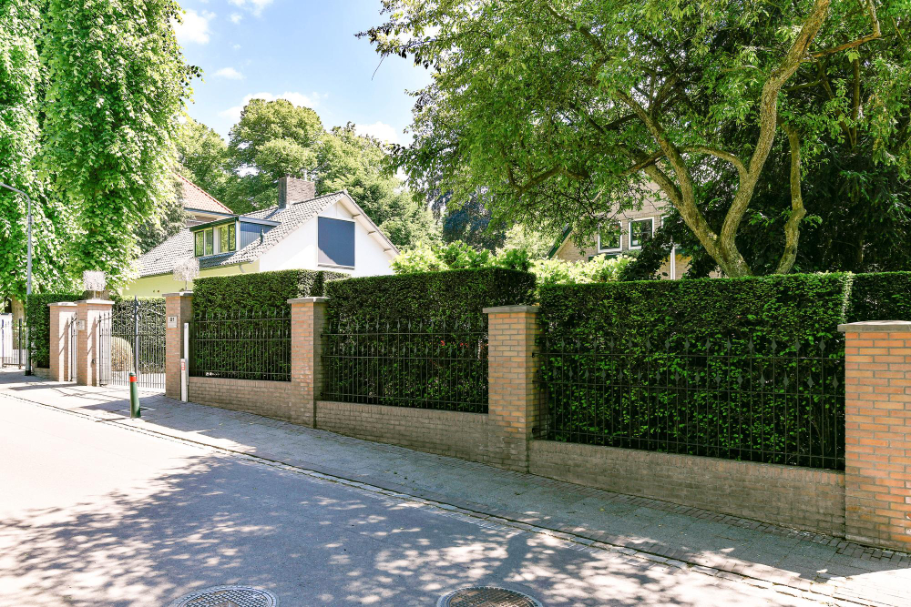 How to Make Your Yard More Private