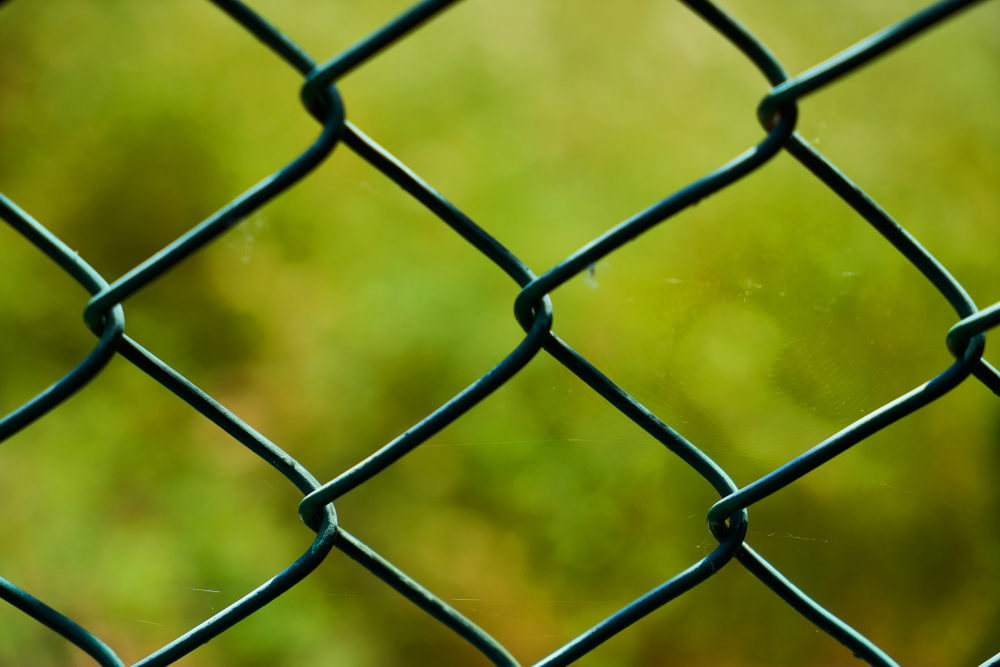 Why Chain Link is a Smart Choice for Florida Fences