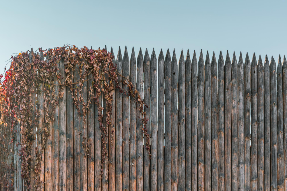 Top Causes of Fence Rot