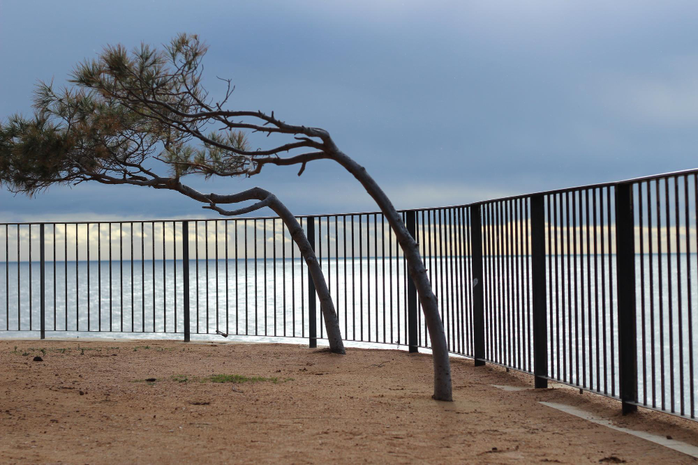 Hurricane-Resistant Fencing in Deltona, FL: What Actually Works