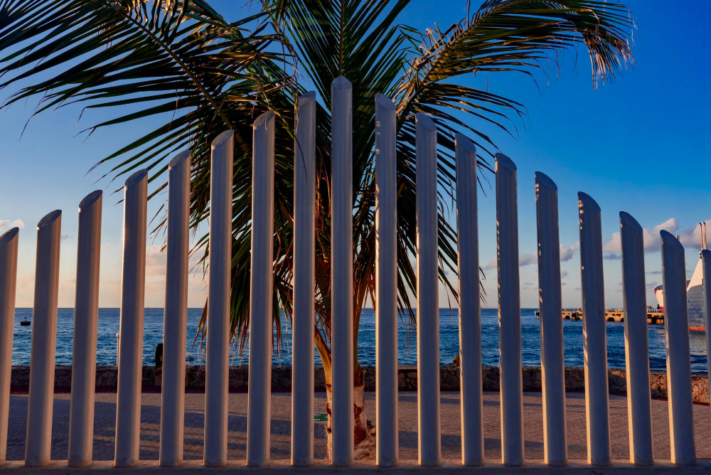 Decorative Fencing Options for New Smyrna Beach Homes