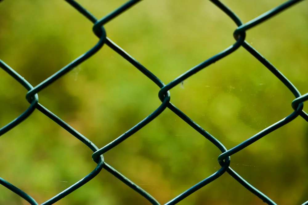 Why Chain Link is a Smart Choice for Florida Fences