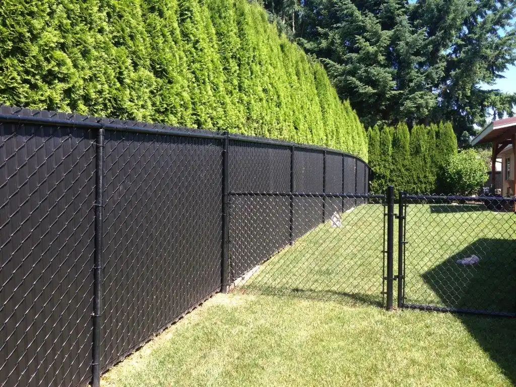 Stop Dogs From Digging Under Fences in Daytona Beach