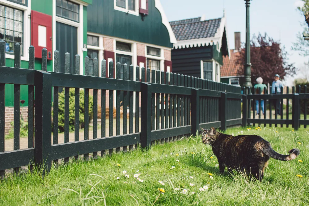 Creative Ways to Personalize Your Fence and Transform Your Yard