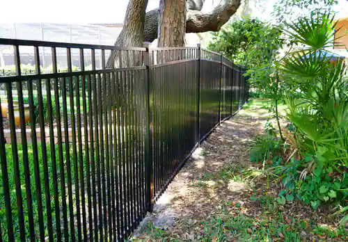 Black double picket aluminum fence running past the base of a mature oak tree on a DeBary property